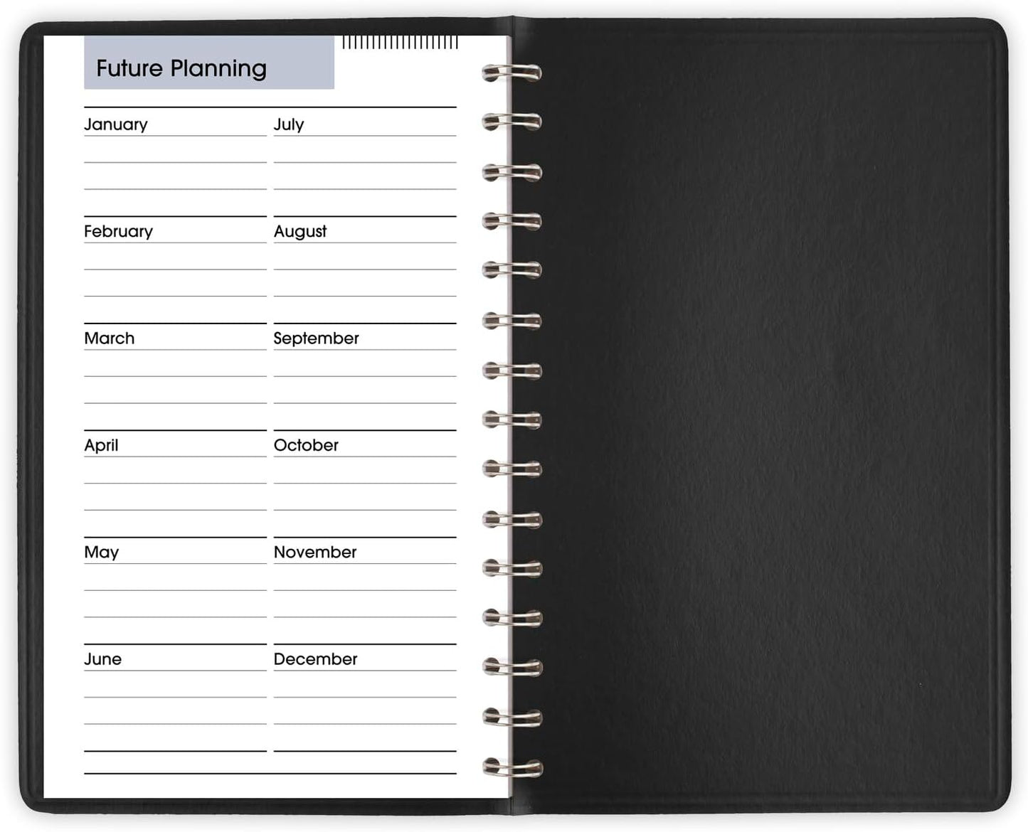 2025 Appointment Book Planner, Daily, 5" X 8", Small, Quarter-Hourly, Dayminder, Black (G1000025)