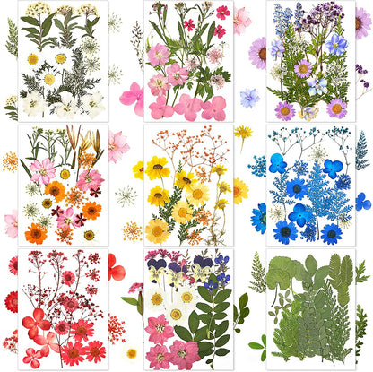 167 Pcs Real Dried Pressed Flowers Natural Dried Flowers Colorful Dry Daisy Flowers Mixed Dried Flowers for DIY Candle Resin Nails Jewelry Pendant Crafts Floral Art (Fresh Color)