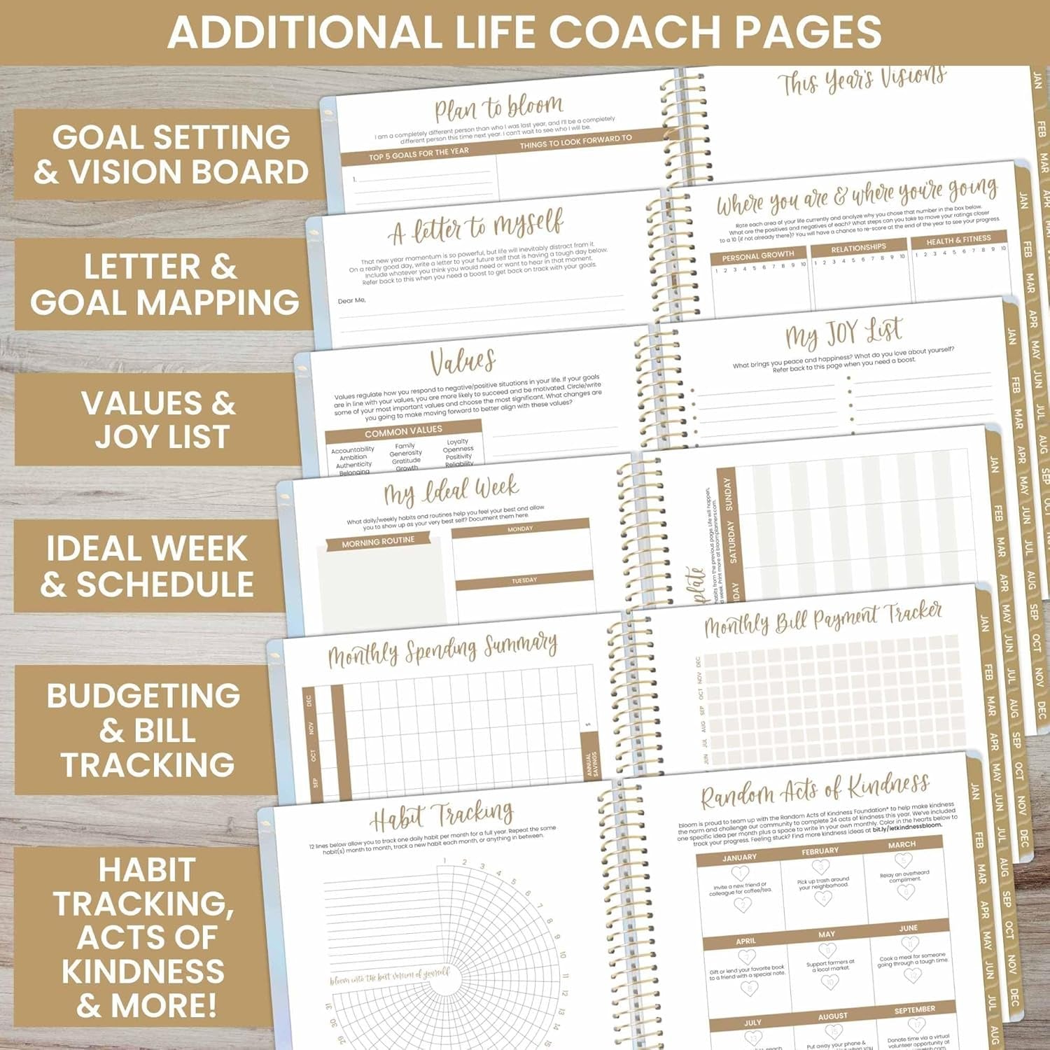 2025 (8.5" X 11") Calendar Year Day Planner (January 2025 - December 2025) - Weekly/Monthly Dated Agenda Organizer with Stickers & Tabs - Iridescent Opal