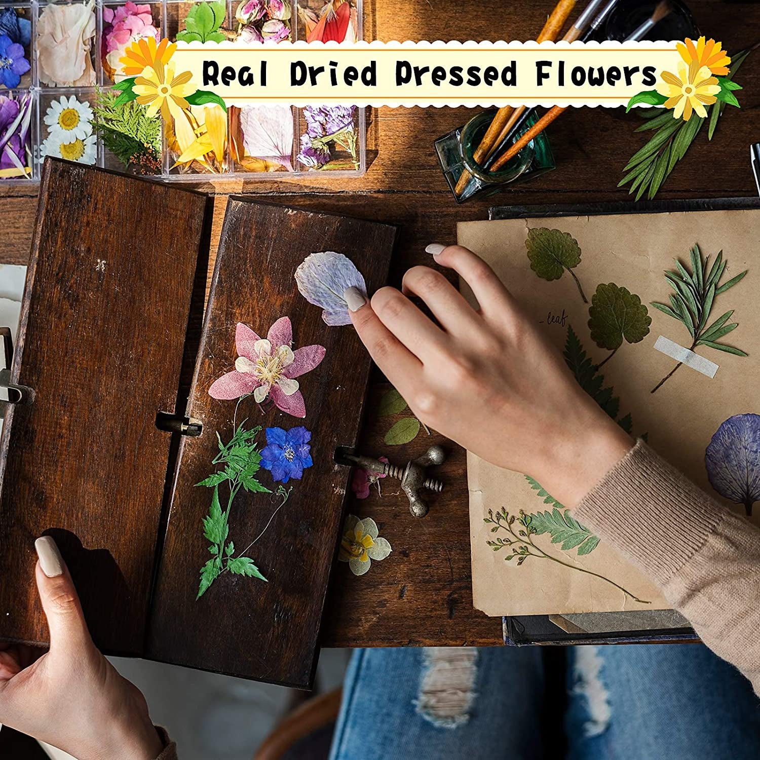 167 Pcs Real Dried Pressed Flowers Natural Dried Flowers Colorful Dry Daisy Flowers Mixed Dried Flowers for DIY Candle Resin Nails Jewelry Pendant Crafts Floral Art (Fresh Color)