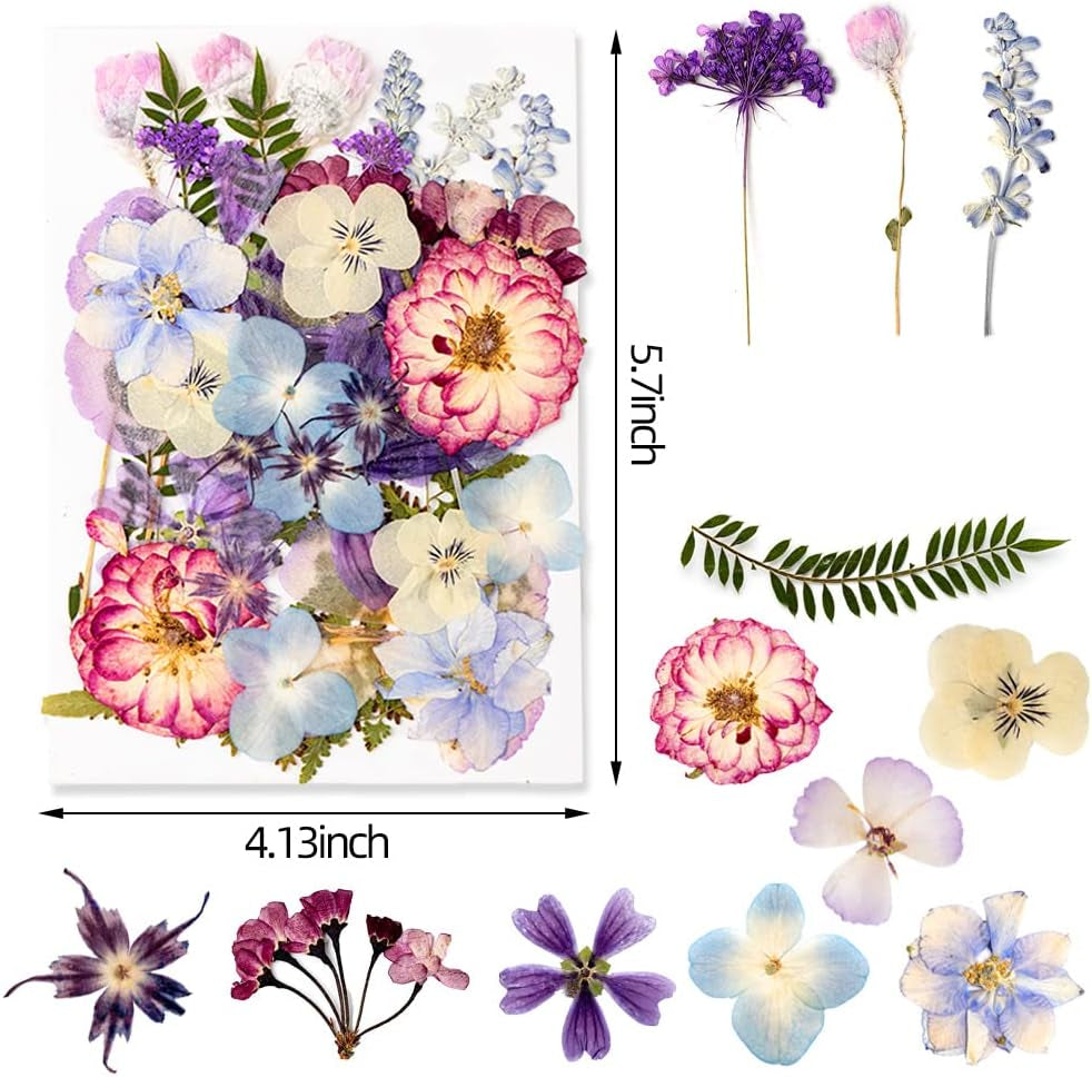 35+Pcs Purple Flowers for Resin Model, Real Pressed Flowers Dry Leaves Bulk Natural Herbs Kit for Scrapbooking DIY Art Crafts, Epoxy Jewelry, Candle, Soap Making, Nails Decor