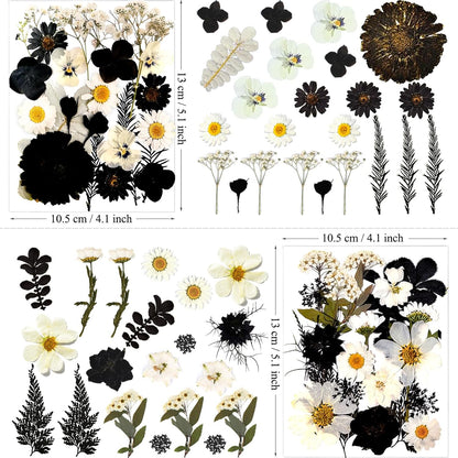 90Pcs Black Pressed Dried Flowers for Resin Molds, Real Natural Bulk Dry Floral Leave for DIY Art Crafts, Epoxy Jewelry, Candle, Soap Making, Nails Decors Gifts