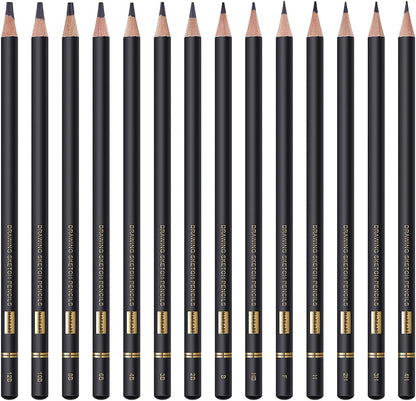 Professional Drawing Sketching Pencil Set - 14 Pieces,Graphite,(12B - 4H), Ideal for Drawing Art, Sketching, Shading, Artist Pencils for Beginners & Pro Artists