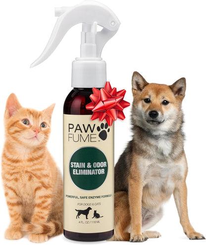 PAWFUME Stain & Odor Eliminator Pet Urine Enzyme Cleaner - Enzymatic Cleaner for Dog Urine Enzyme Cleaner - Cat Pee Enzyme Cleaner & Pet Stain and Odor Remover - Enzyme Cleaner for Cat Urine (4Oz)