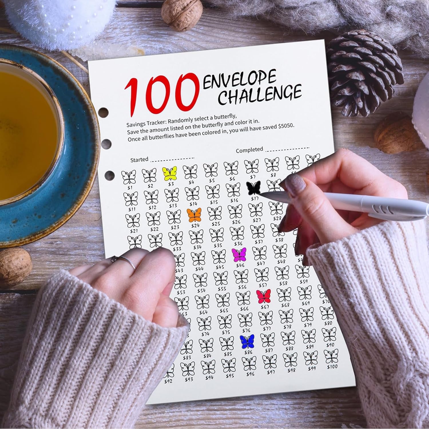 100 Envelope Challenge Binder, 25 Sheets Silkscreen Numbers to 100, Not Stickers, Reusable Tracker, Easy and Fun 100 Envelopes Money Saving Challenge save $5050, Budget Planner & Saving Money (Pink)