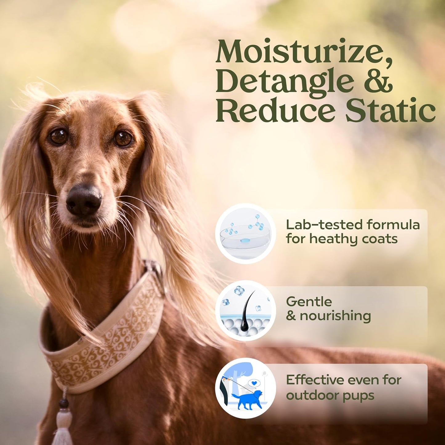 Pawfume Skin & Coat Moisturizing Spray + Dog Shampoo and Conditioner + Premium Grooming Spray