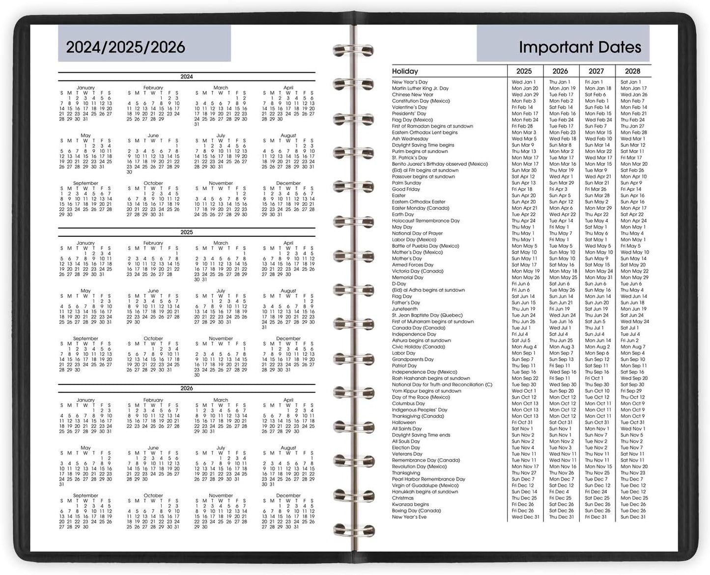 2025 Appointment Book Planner, Daily, 5" X 8", Small, Quarter-Hourly, Dayminder, Black (G1000025)