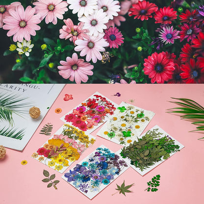 Dried Pressed Flowers, 170+ Pcs Mixed Dried Flowers for Resin, Bulk Natural Dry Floral Resin Fillers Decoration Accessories for DIY Crafts, Scrapbooking (Flower-1)