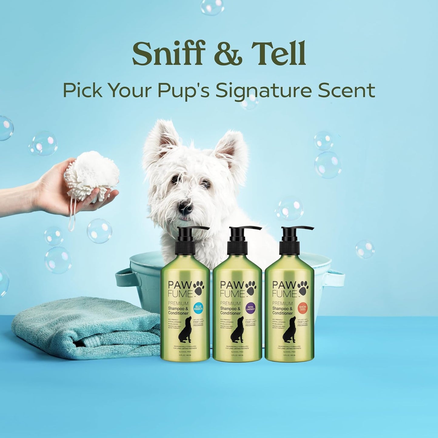 Pawfume Dog Shampoo and Conditioner – Hypoallergenic Dog Shampoo for Smelly Dogs – Best Dog Shampoos & Conditioners – Probiotic Pet Shampoo for Dogs – Best Dog Shampoo for Puppies (Blue Ribbon)