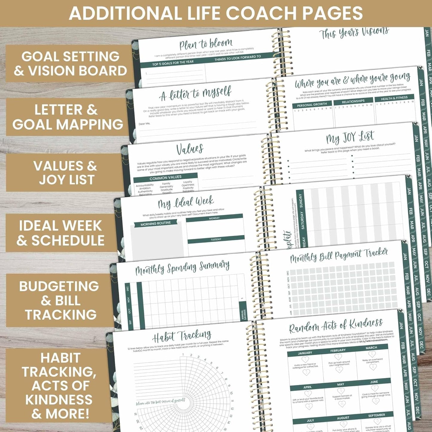 2025 (8.5" X 11") Calendar Year Day Planner (January 2025 - December 2025) - Weekly/Monthly Dated Agenda Organizer with Stickers & Tabs - Eucalyptus, Green