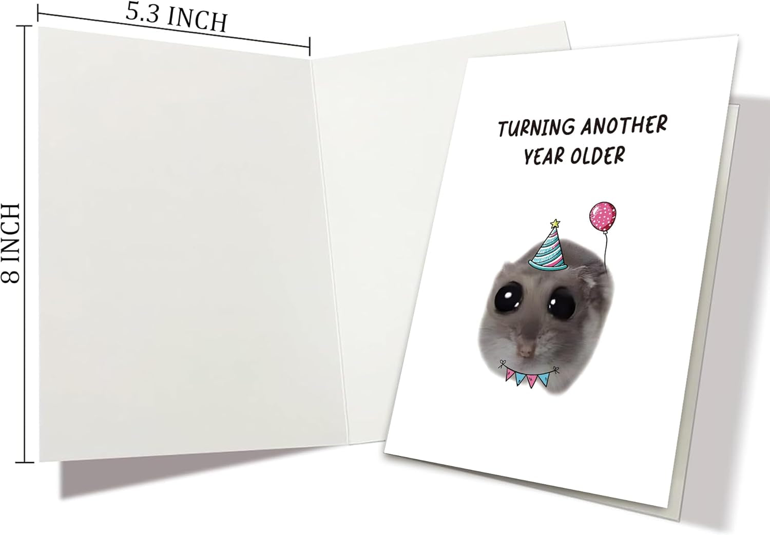 Sad Hamster Meme Birthday Card, Funny Cute Hamster Bday Card for Him Her, Hilarious Turning Another Year Older