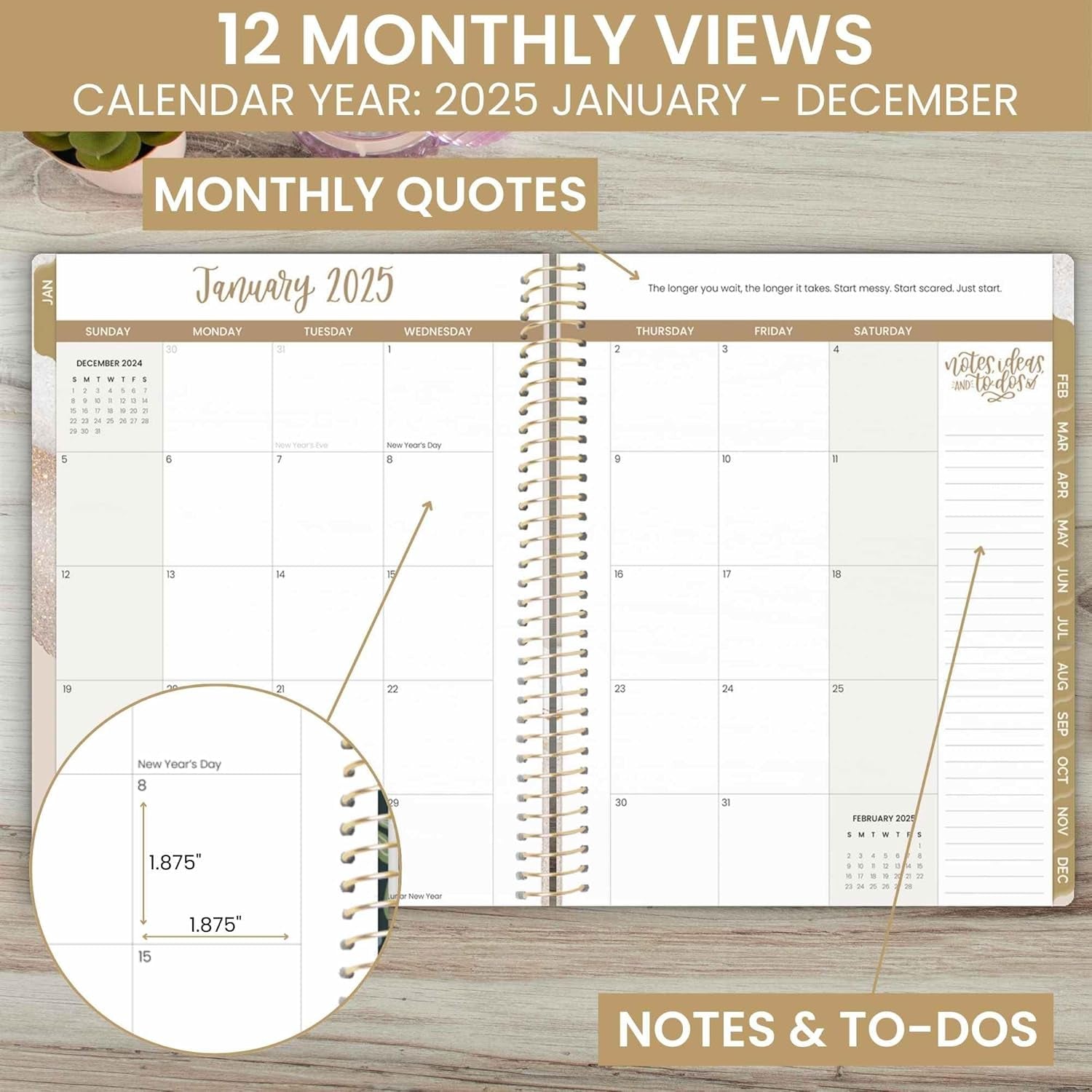 2025 (8.5" X 11") Calendar Year Day Planner (January 2025 - December 2025) - Weekly Monthly Dated Agenda Organizer with Stickers & Tabs - Brushed Beige