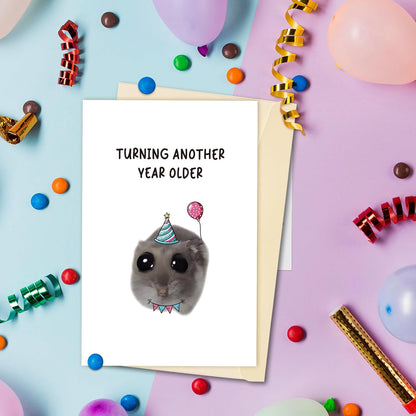 Sad Hamster Meme Birthday Card, Funny Cute Hamster Bday Card for Him Her, Hilarious Turning Another Year Older