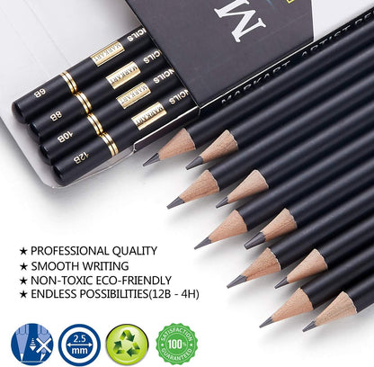 Professional Drawing Sketching Pencil Set - 14 Pieces,Graphite,(12B - 4H), Ideal for Drawing Art, Sketching, Shading, Artist Pencils for Beginners & Pro Artists